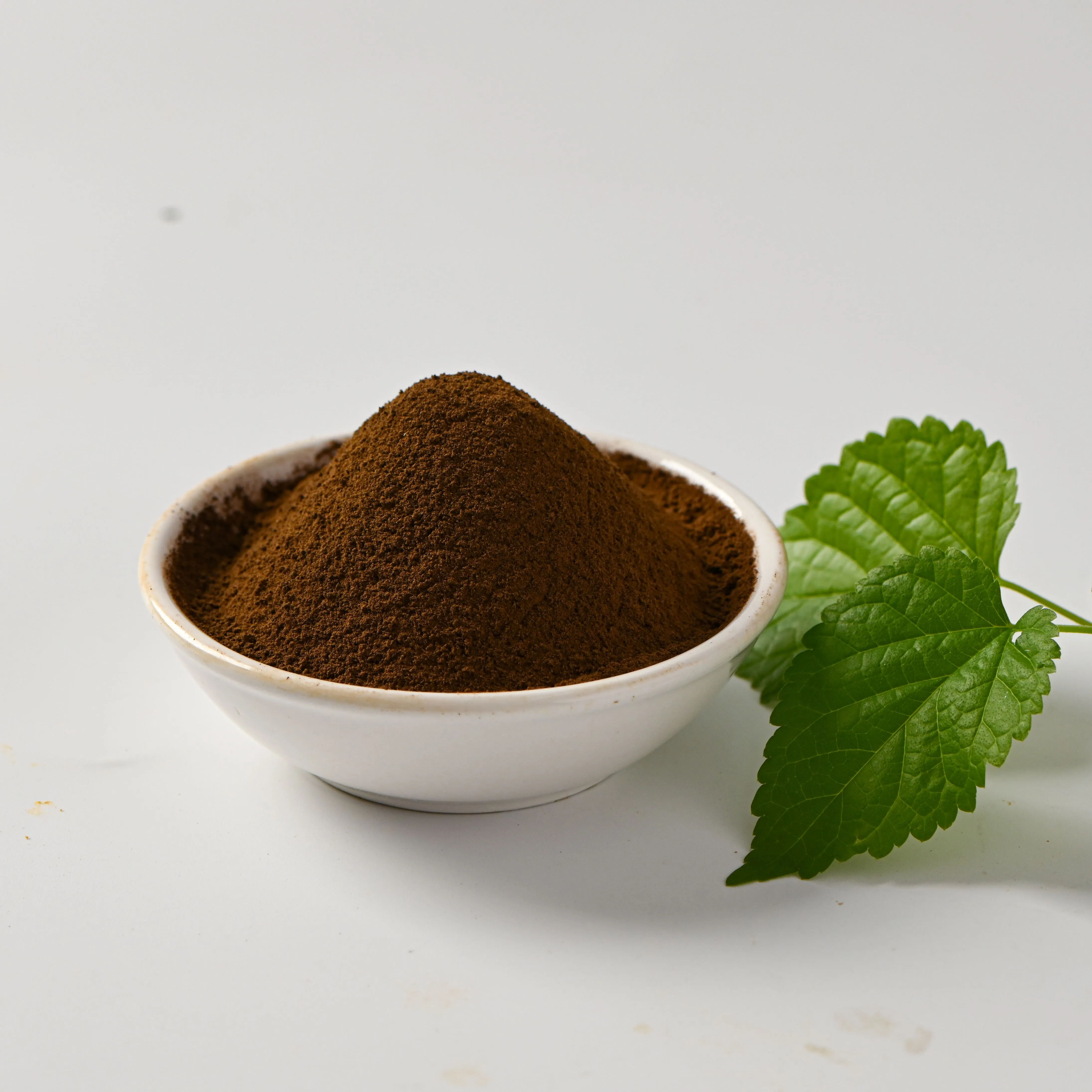 Mulberry Leaf Extract