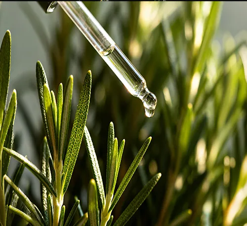 Geneham Pharmaceutical Co., Ltd. Successfully Passes FAMI-QS Certification with High Quality for 7 Consecutive Years