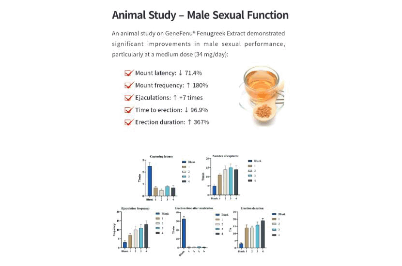 Male Sexual Function