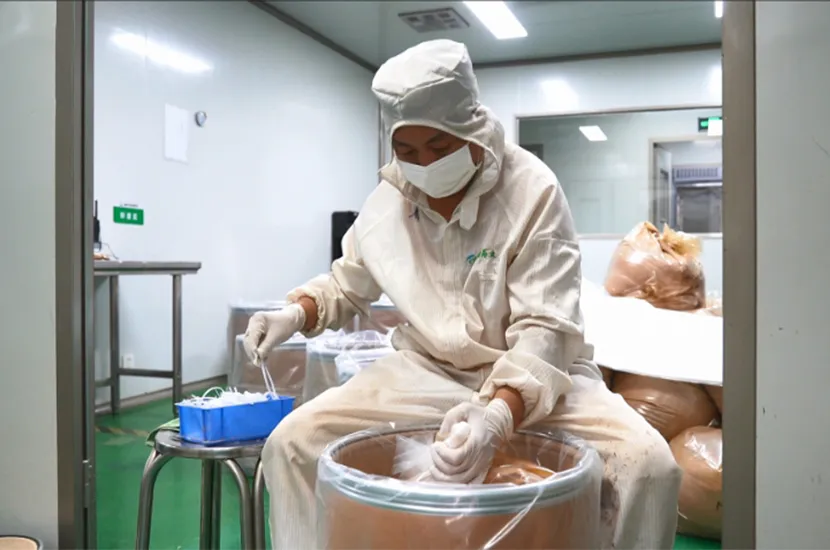 Bulk Mulberry Leaf Extract Supplier Offering Stable Quality and Competitive Pricing