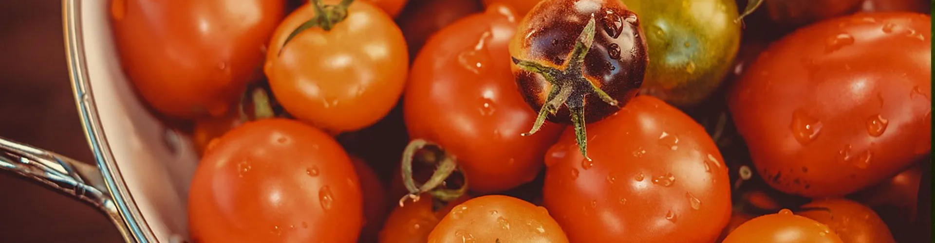 Natural Botanical Extracts Antioxidants