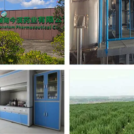 Featured Natural Botanical Extracts