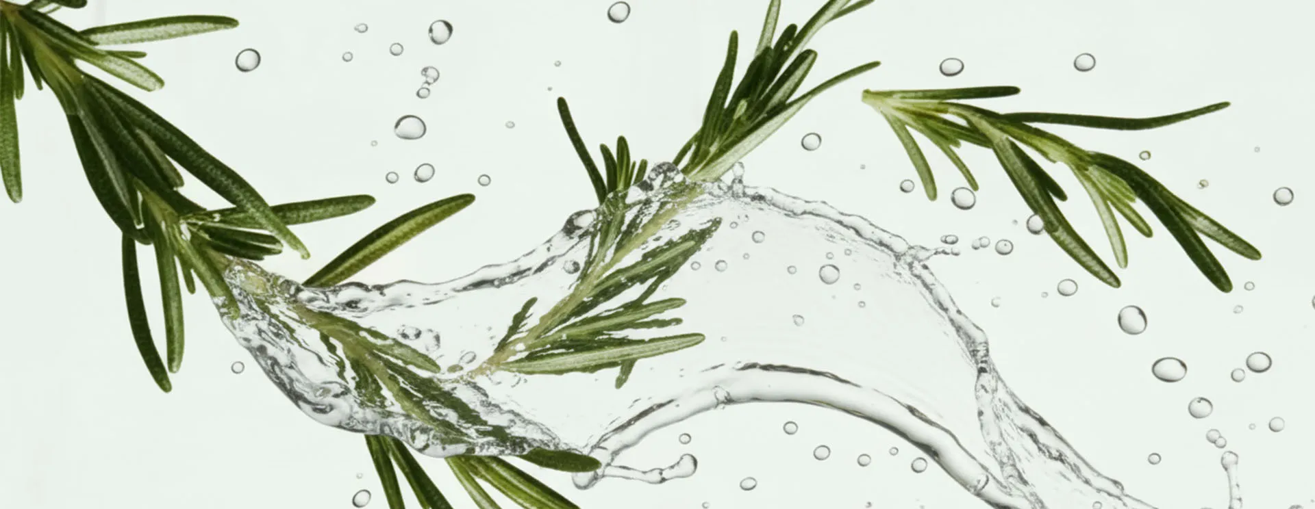 Botanical Extracts - Nature's Power in Your Formula