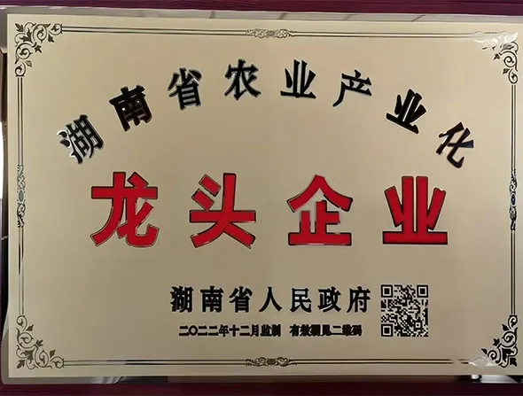 Certificate of Leading Enterprise