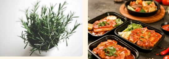 rosemary_extract_for_food.png